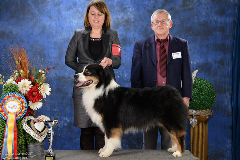 gal/Expo_janvier_2016/_KD85904.jpg