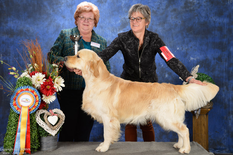 gal/Expo_janvier_2016/_KD85944.jpg