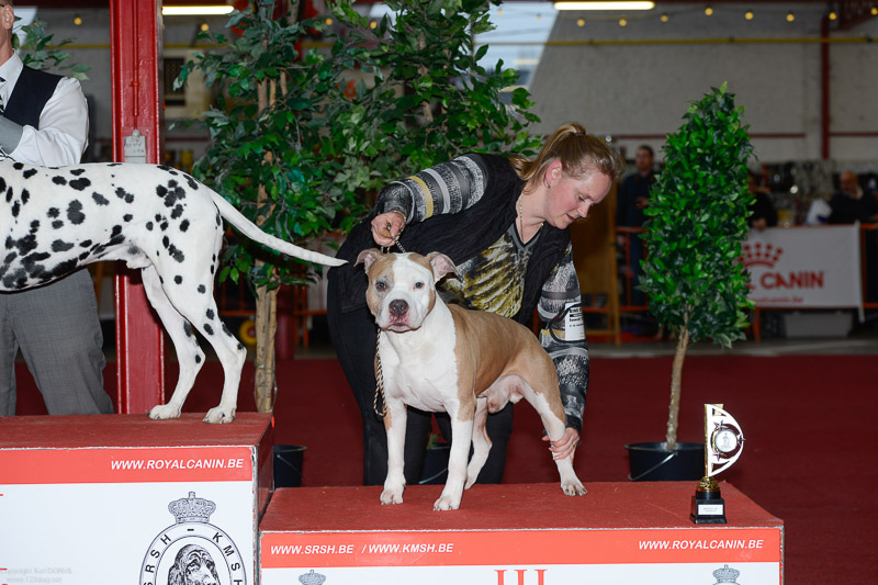 gal/Expo_janvier_2017/_KD68065.jpg