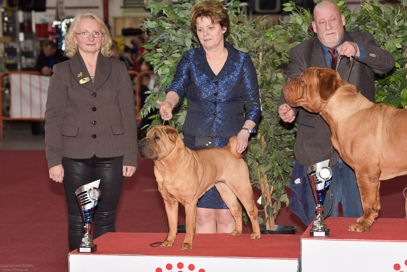 gal/Expo_janvier_2018/_75K1448.jpg