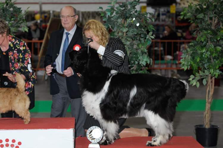 gal/Expo_janvier_2019/_D3K7082.jpg