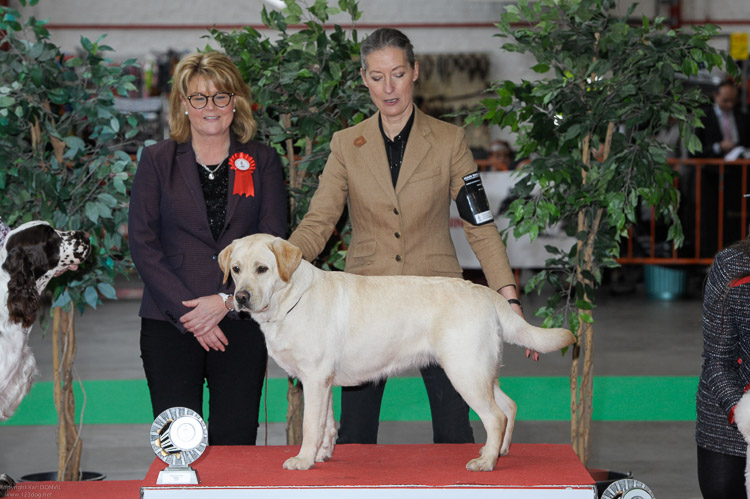 gal/Expo_janvier_2019/_D3K7278.jpg