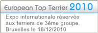 European top terrier